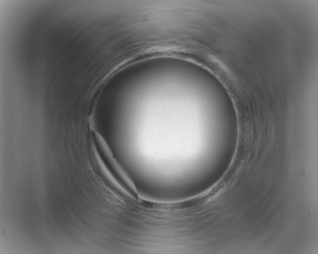 X0000075921361200609291813
