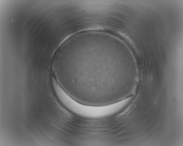 X0000075921409200609291812