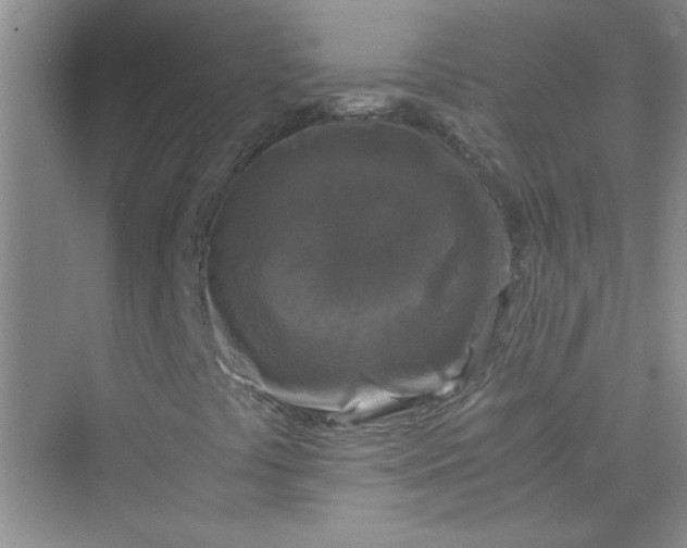 X0000075921441200609291812