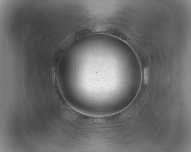 X0000075921443200609291812