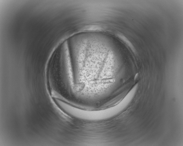 X0000075921475200609291811