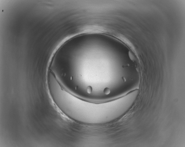X0000075921488200609291811