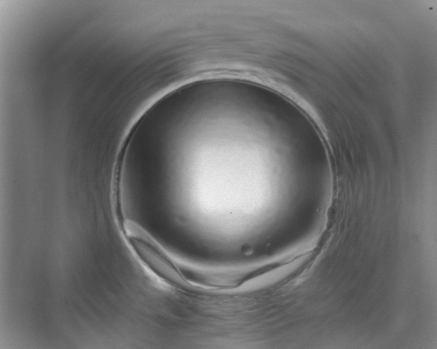 X0000075921533200609291811