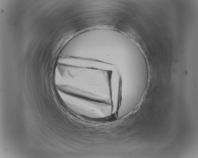 X0000075920001200610062219