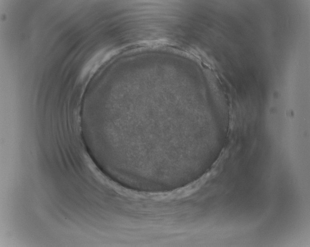 X0000075920002200610062219