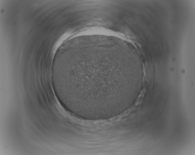 X0000075920003200610062219