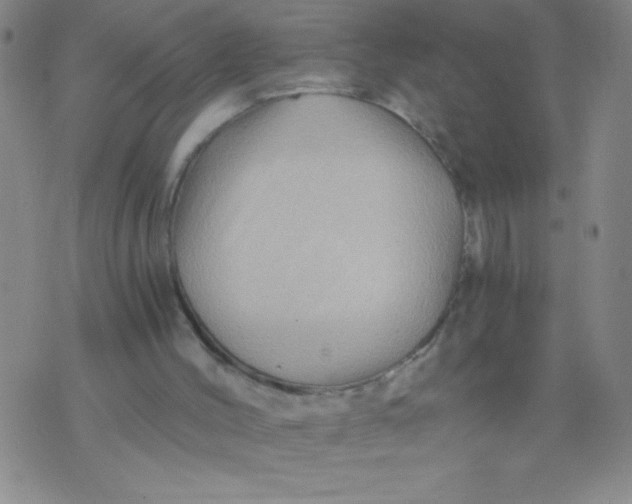 X0000075920004200610062219