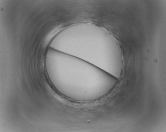 X0000075920005200610062219