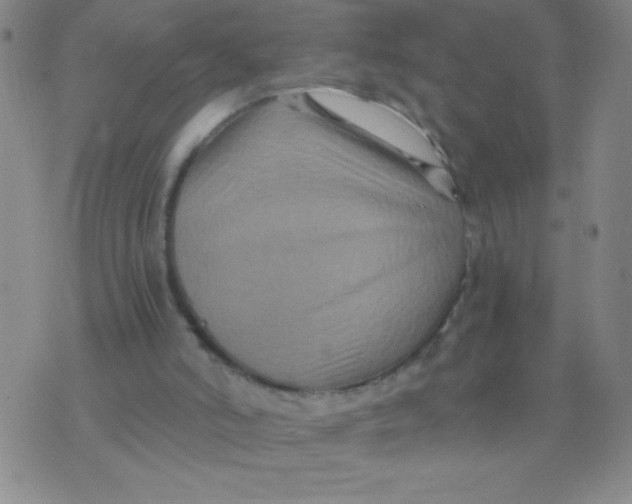 X0000075920006200610062219