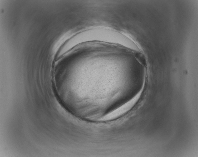 X0000075920007200610062219