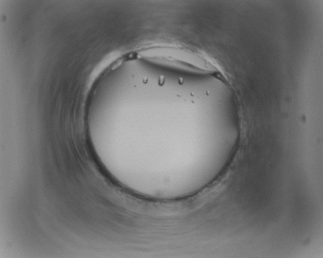 X0000075920008200610062219