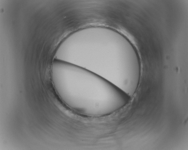 X0000075920009200610062219