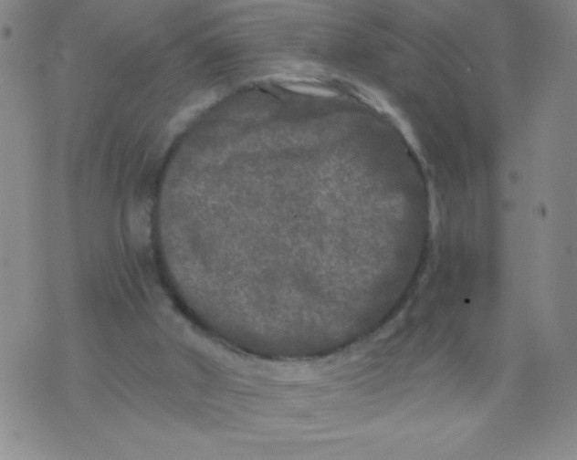 X0000075920010200610062219