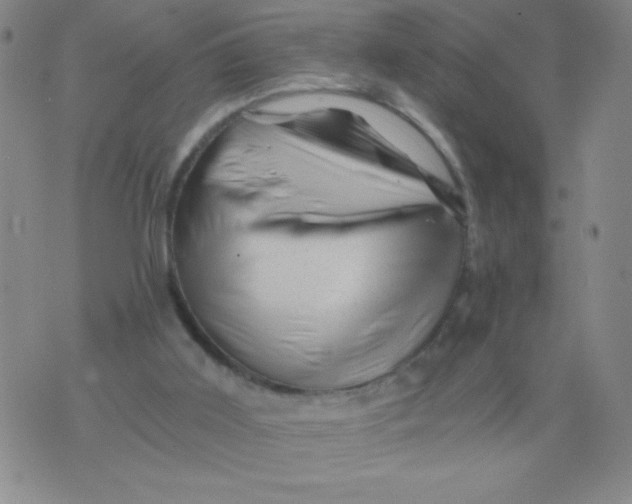 X0000075920011200610062219