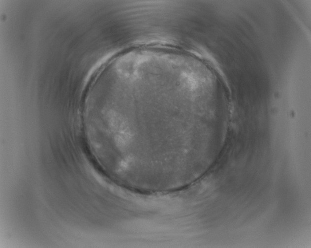 X0000075920012200610062219