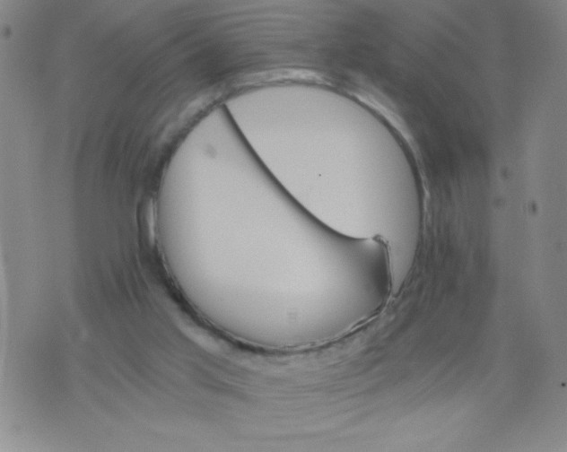 X0000075920013200610062219