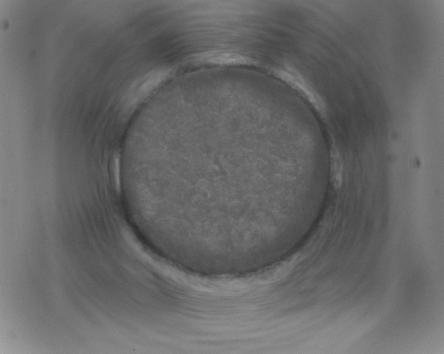 X0000075920014200610062219