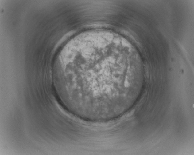 X0000075920016200610062219