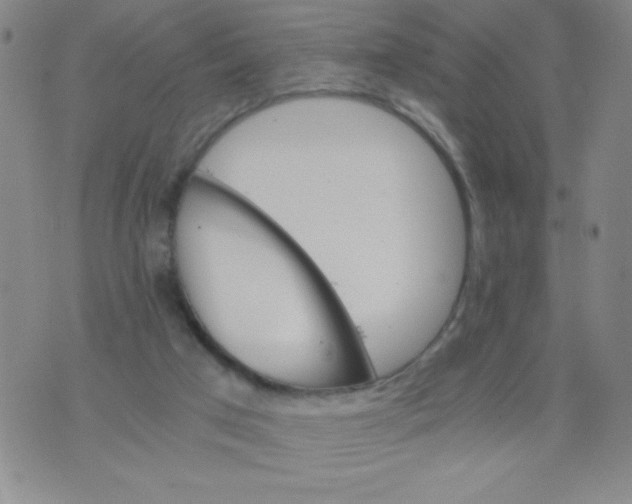 X0000075920017200610062219