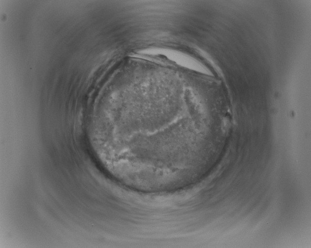 X0000075920018200610062219