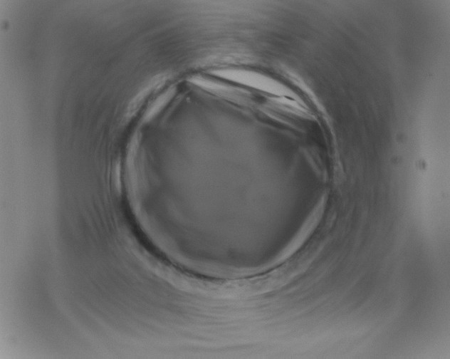 X0000075920019200610062219