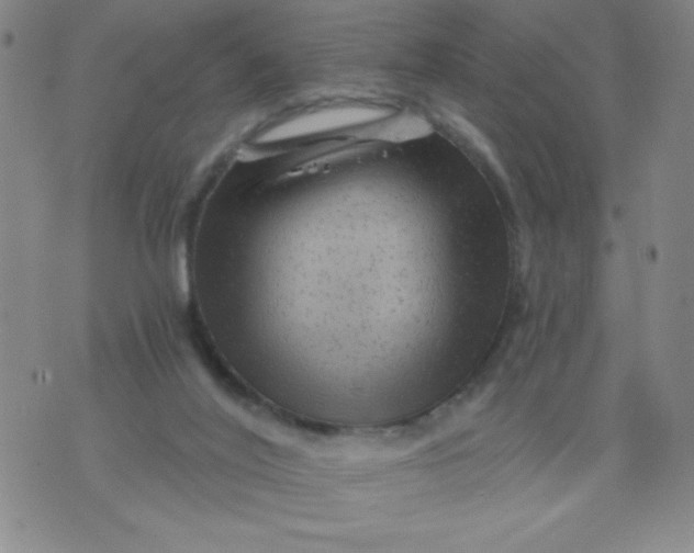 X0000075920020200610062219