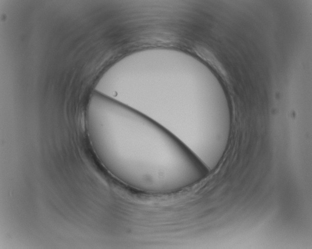 X0000075920021200610062219