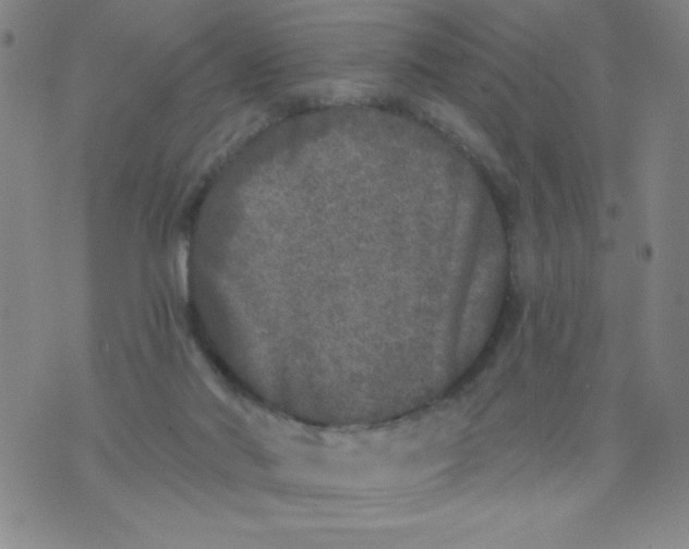 X0000075920022200610062219