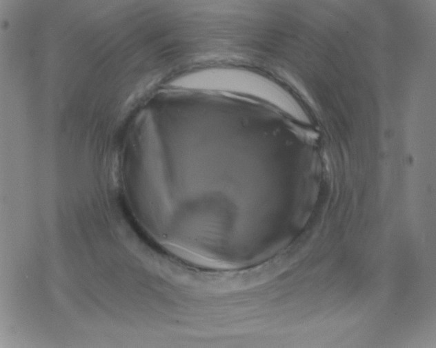 X0000075920023200610062219