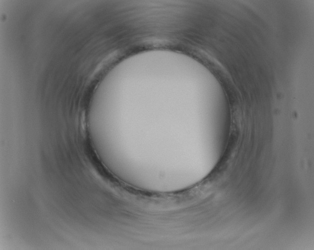 X0000075920024200610062219