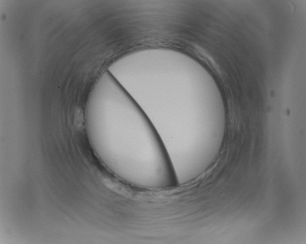 X0000075920025200610062219