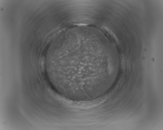 X0000075920026200610062219