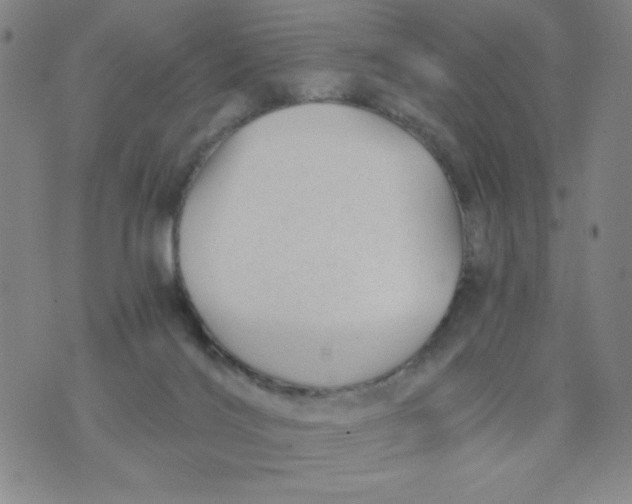 X0000075920028200610062219