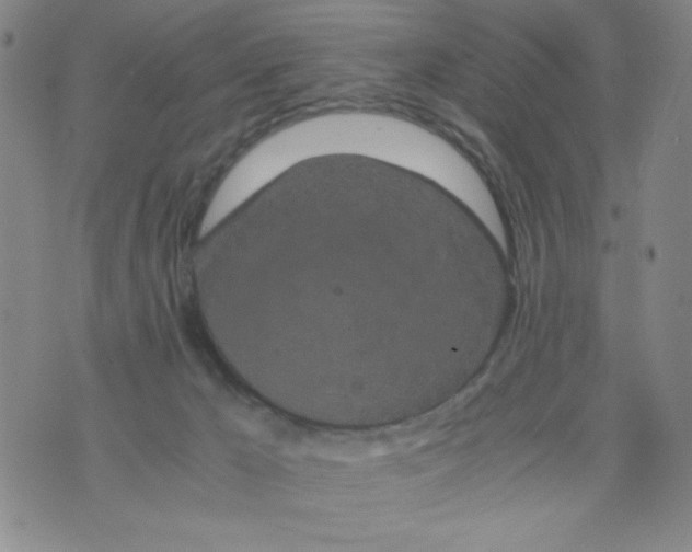 X0000075920029200610062219