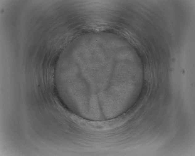 X0000075920030200610062219