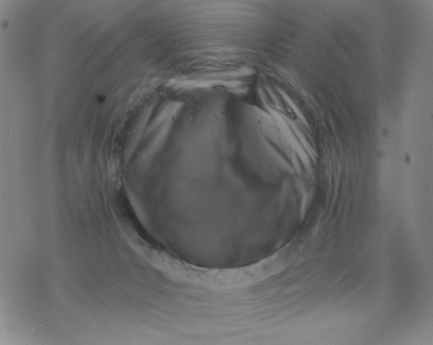 X0000075920031200610062219