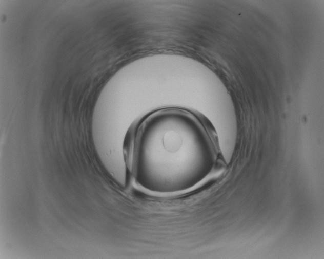 X0000075920033200610062219