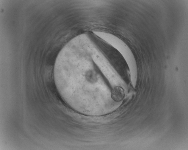 X0000075920034200610062219