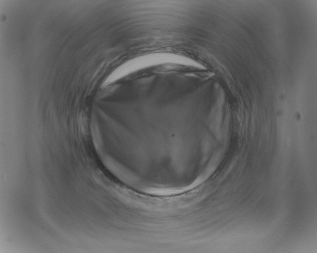 X0000075920035200610062219