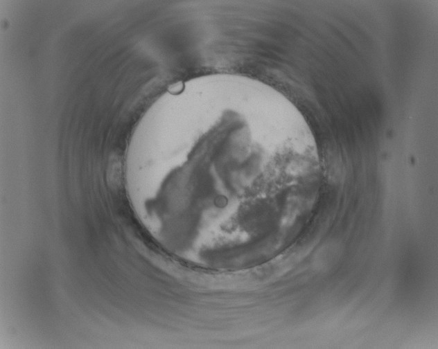 X0000075920036200610062219