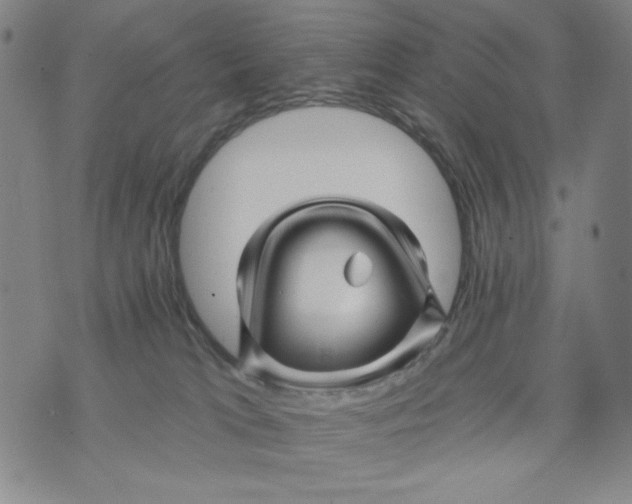 X0000075920037200610062219