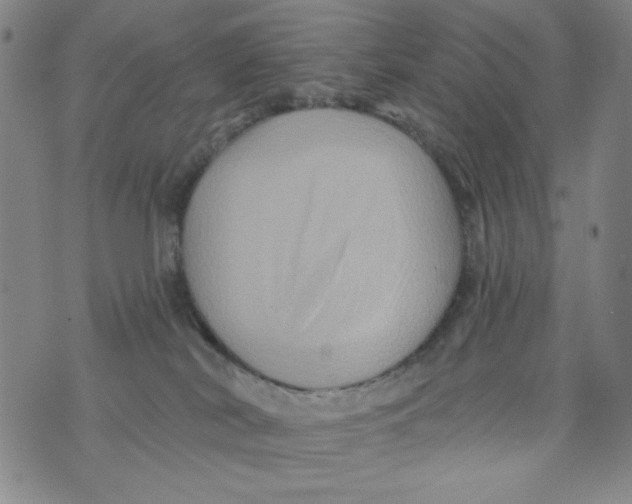 X0000075920038200610062218