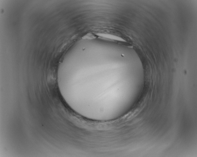 X0000075920040200610062218