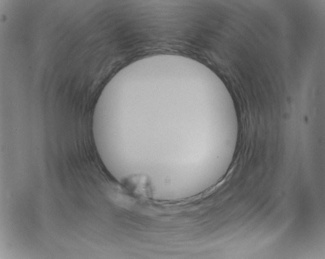 X0000075920041200610062218