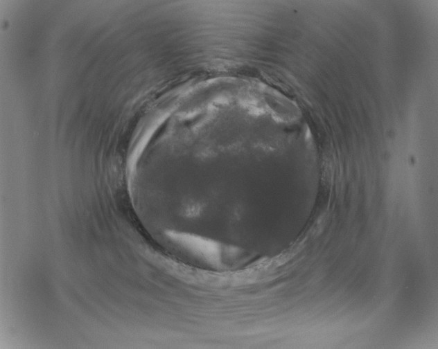 X0000075920043200610062218