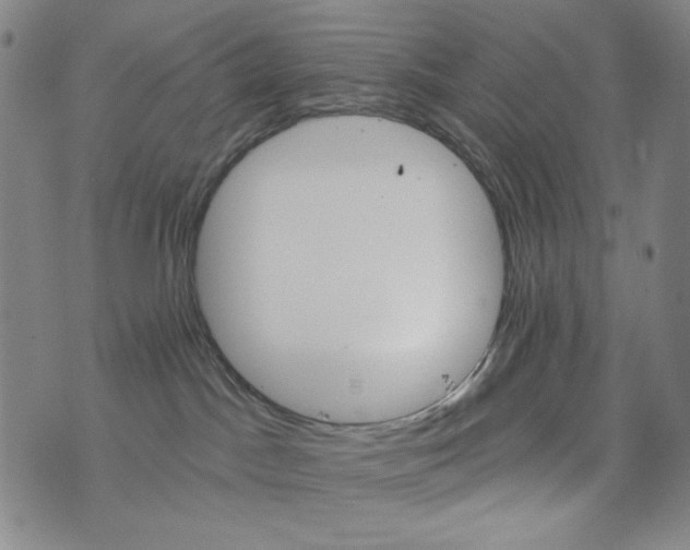 X0000075920045200610062218