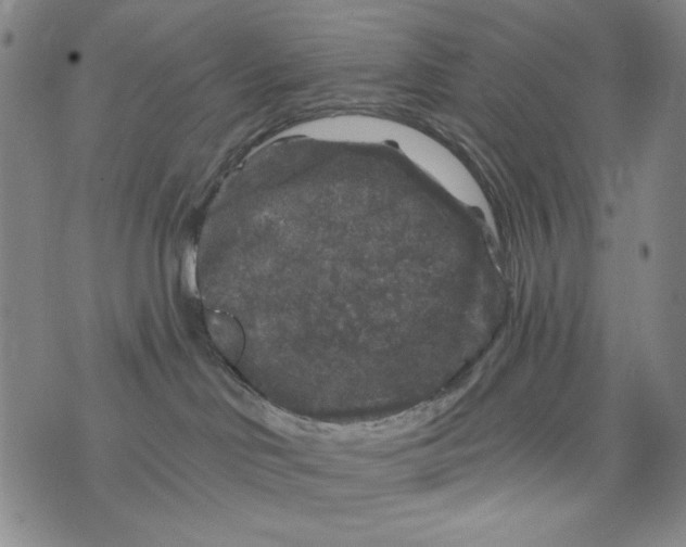 X0000075920046200610062218