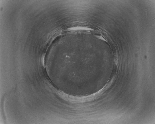 X0000075920047200610062218