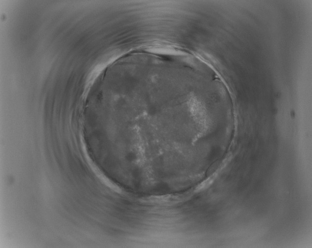 X0000075920049200610062218