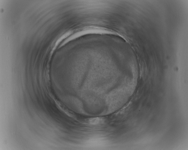 X0000075920050200610062218